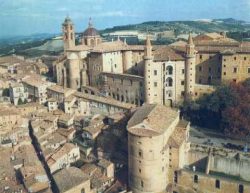 Urbino